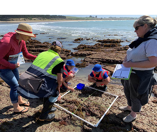 marine Meter Squared 2020 Community Pihinga Award winner NZ Marine Studies Centre 5