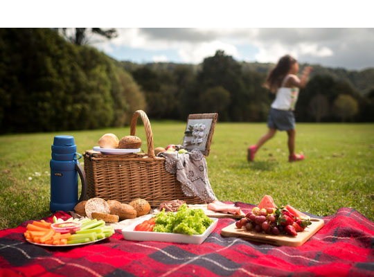 Picnic with a child in the background