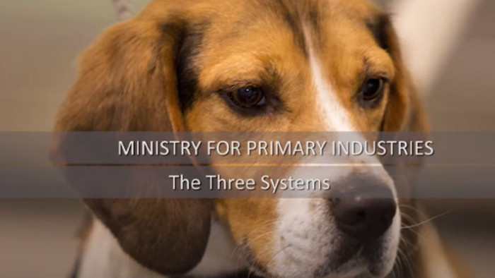 Video: The biosecurity system 