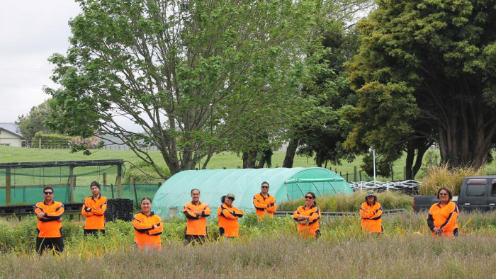 Ngāti Hauā Mahi Trust unites community to protect the environment