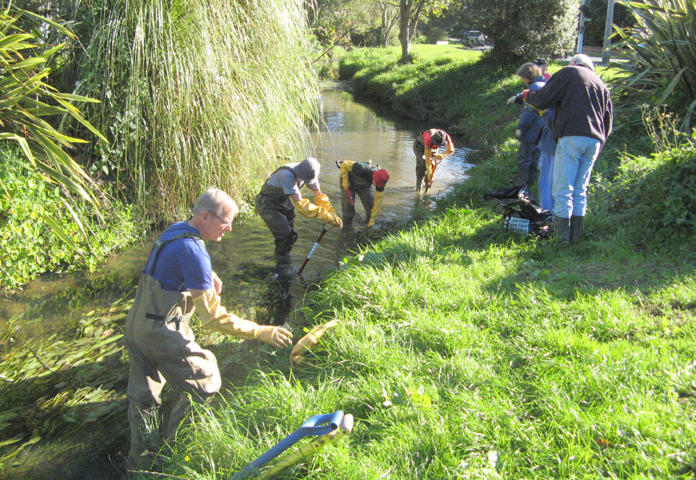 Finalist: Friends of Waiwhetū Stream - Department of Conservation Community Kahiwi Award