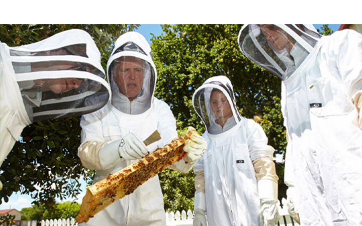 St Pauls students learning about honey production 540 x 360