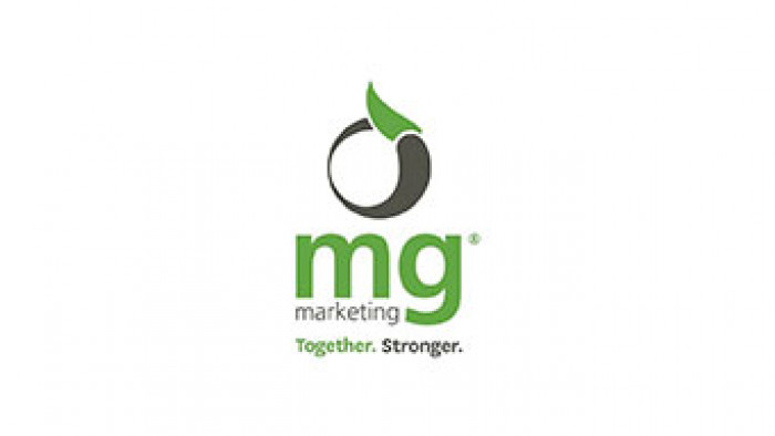 MG Marketing Wellington