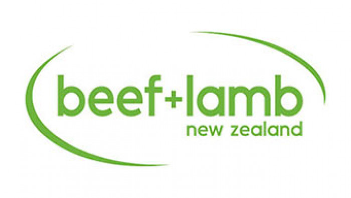 Beef + Lamb