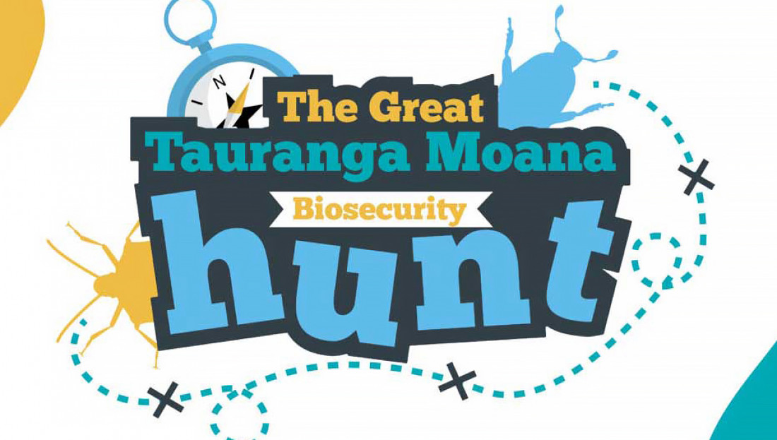 The Great Tauranga Moana Biosecurity Hunt promotional banner