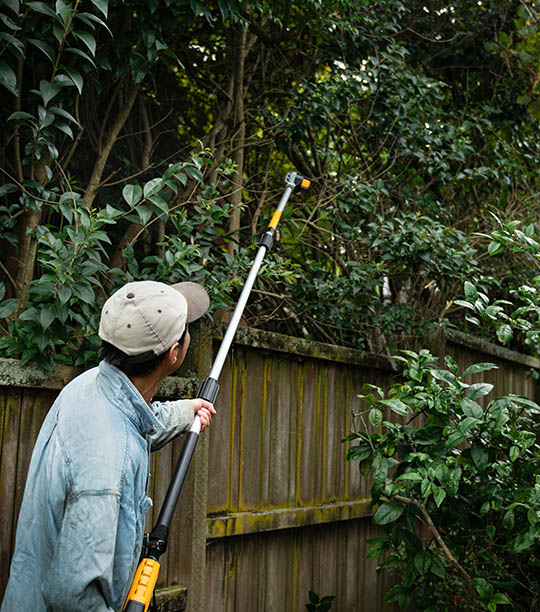 Person trimming tree in garden