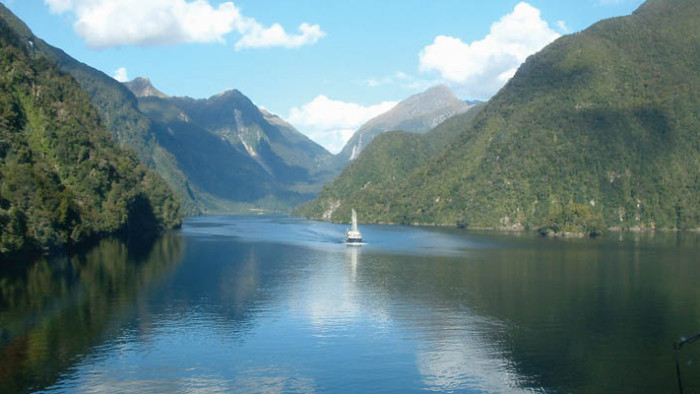 Protect Fiordland's precious marine environment 