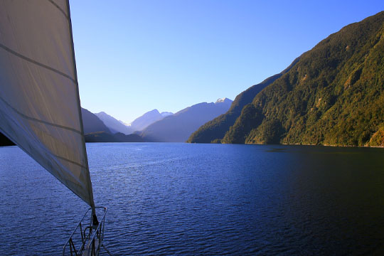 Sailing in Doubtful Sound Fiordland National Park