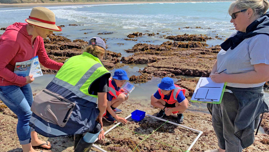 Kids and teachers using a guide to examine marine life in a coastal rockpool