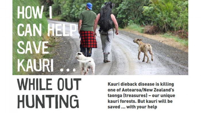 Guidelines for hunters to help save kauri
