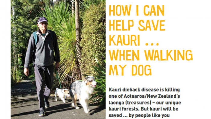 Guidelines for dog walkers to help save kauri