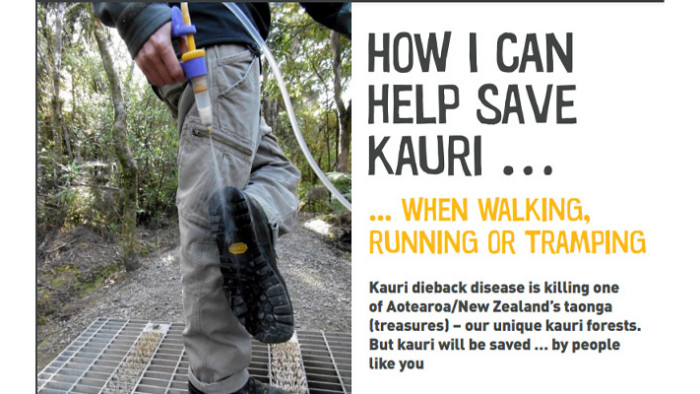 Guide for helping save kauri when walking, running or tramping 