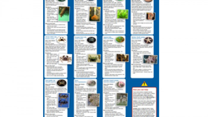 Marine pest poster - Top of the South Marine Biosecurity Partnership