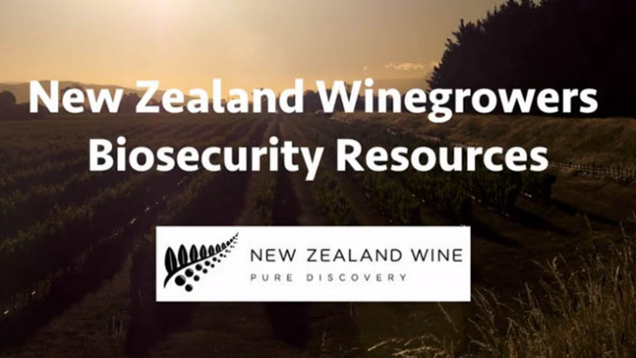 New Zealand Wine Biosecurity Resources