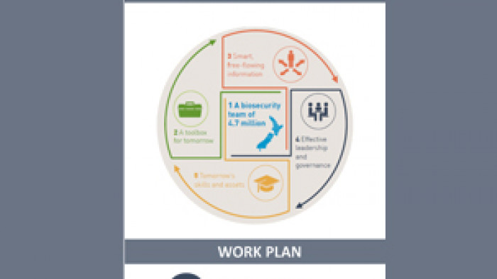 Work Plan: Effective leadership and governance