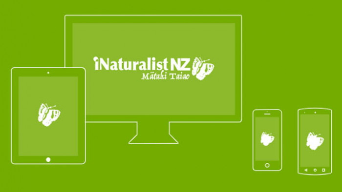 iNaturalist 720 x 400