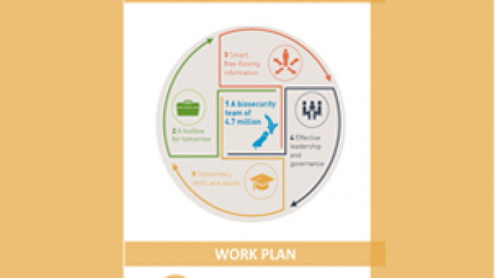 Work plan: Tomorrow's skills and assets 