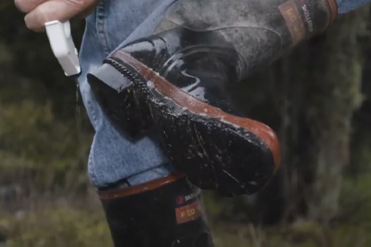 Keep Kauri Standing Clean your boots video