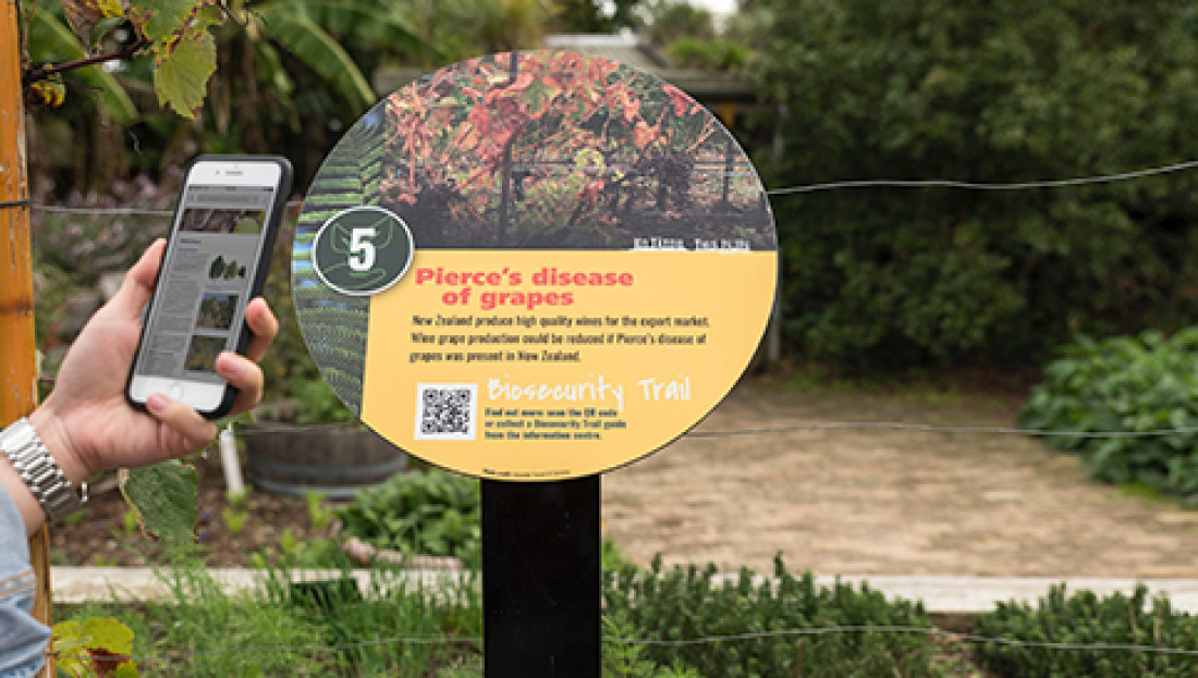 Biosecurity Trail at Auckland Botanic Gardens 514 x 273